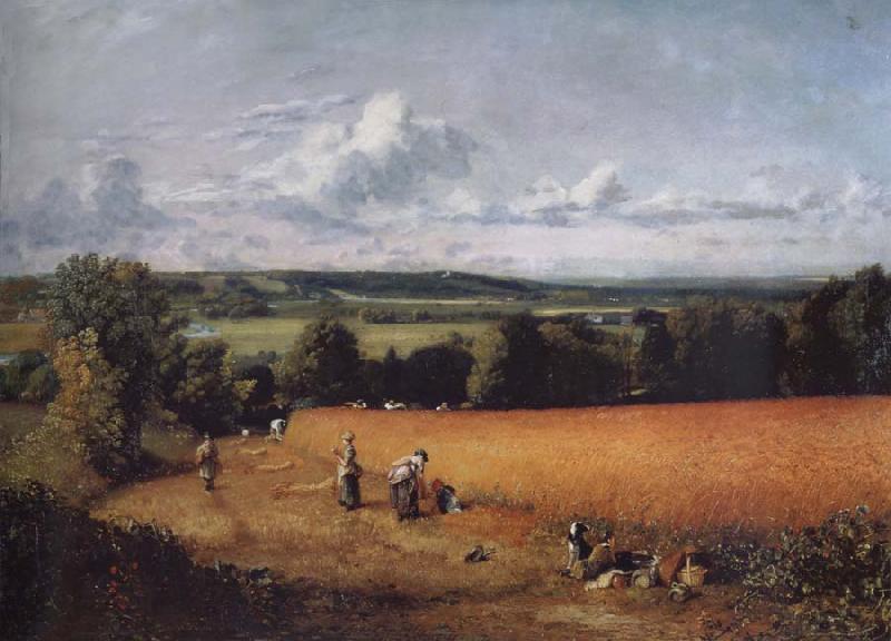 John Constable The wheatfield